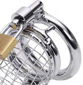 Caged Dragon Male Chastity Device Silver